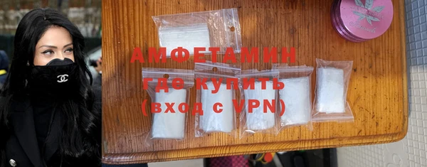 молекула духа Арсеньев