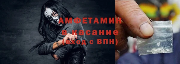 молекула духа Арсеньев