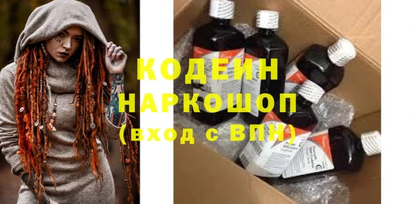 молекула духа Арсеньев