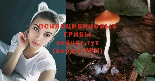 спиды Армянск