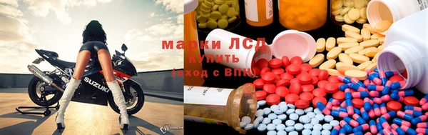 молекула духа Арсеньев